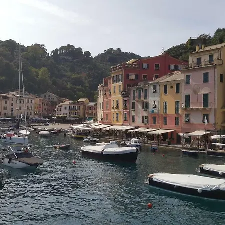 Degli Ulivi * Lavagna