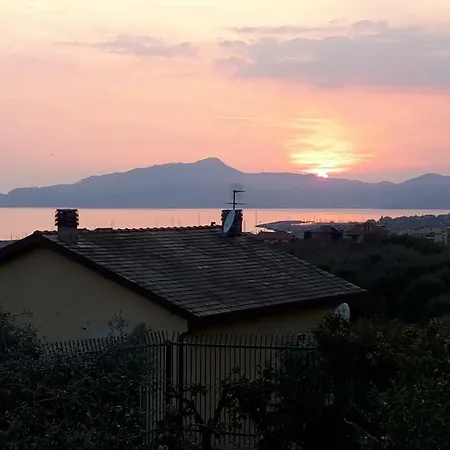 Degli Ulivi *